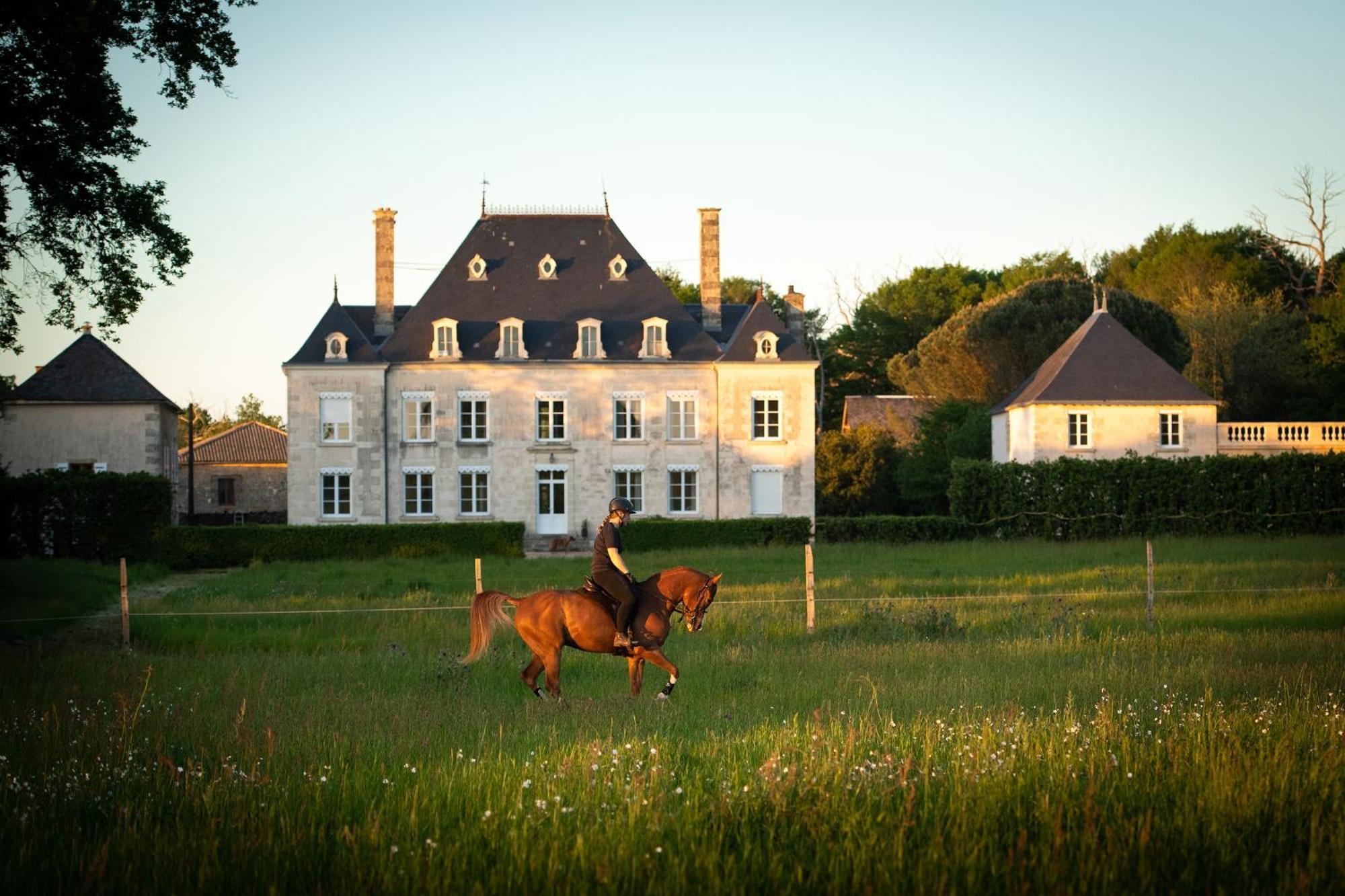 Bed and Breakfast Domaine De La Briouse Sanxay Zewnętrze zdjęcie