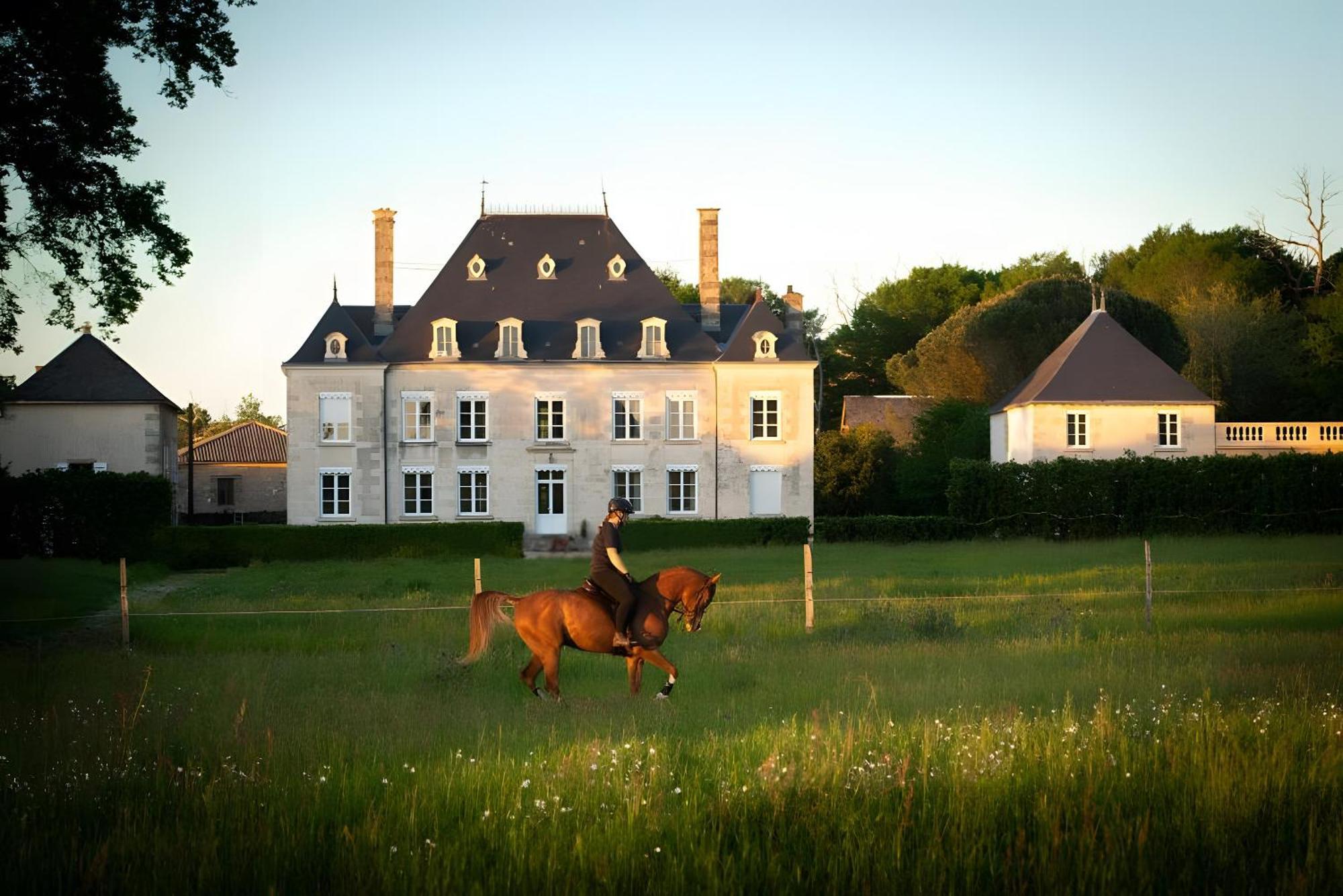 Bed and Breakfast Domaine De La Briouse Sanxay Zewnętrze zdjęcie